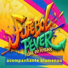 acompanhante blumenau